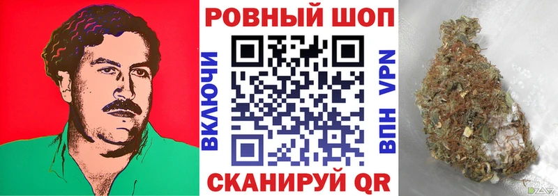 Где продают наркотики Багратионовск Конопля  мега   СК  Меф мяу мяу  ГАШИШ  Cocaine 