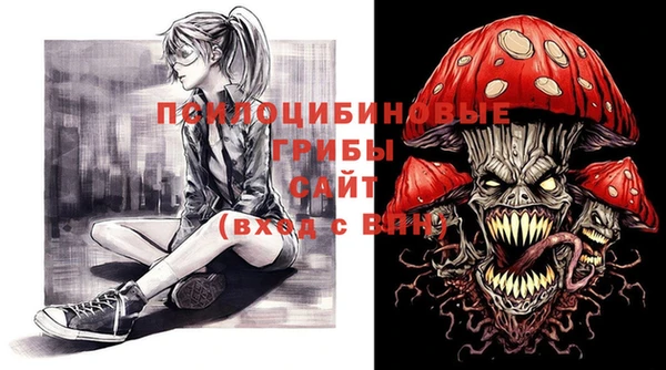 соль ск Алексеевка